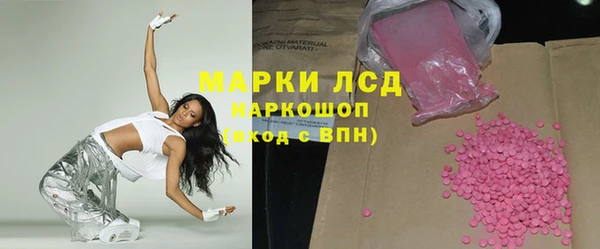 прущие грибы Осташков