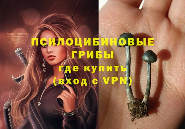 шишки Абдулино