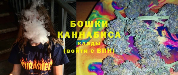 прущие грибы Осташков