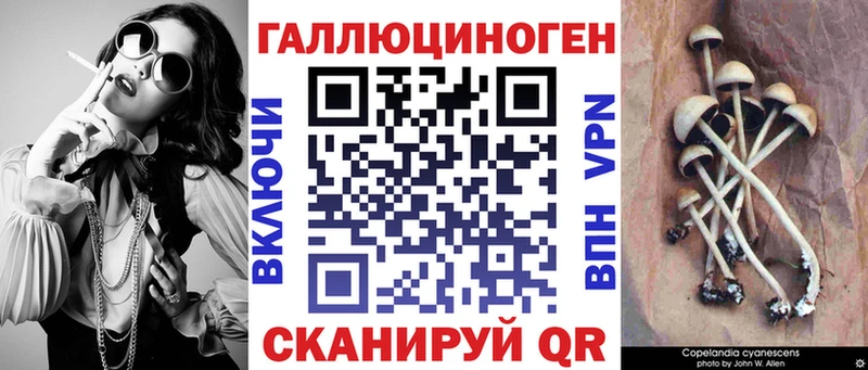 где найти   блэк спрут ONION  Галлюциногенные грибы мицелий  Александров 